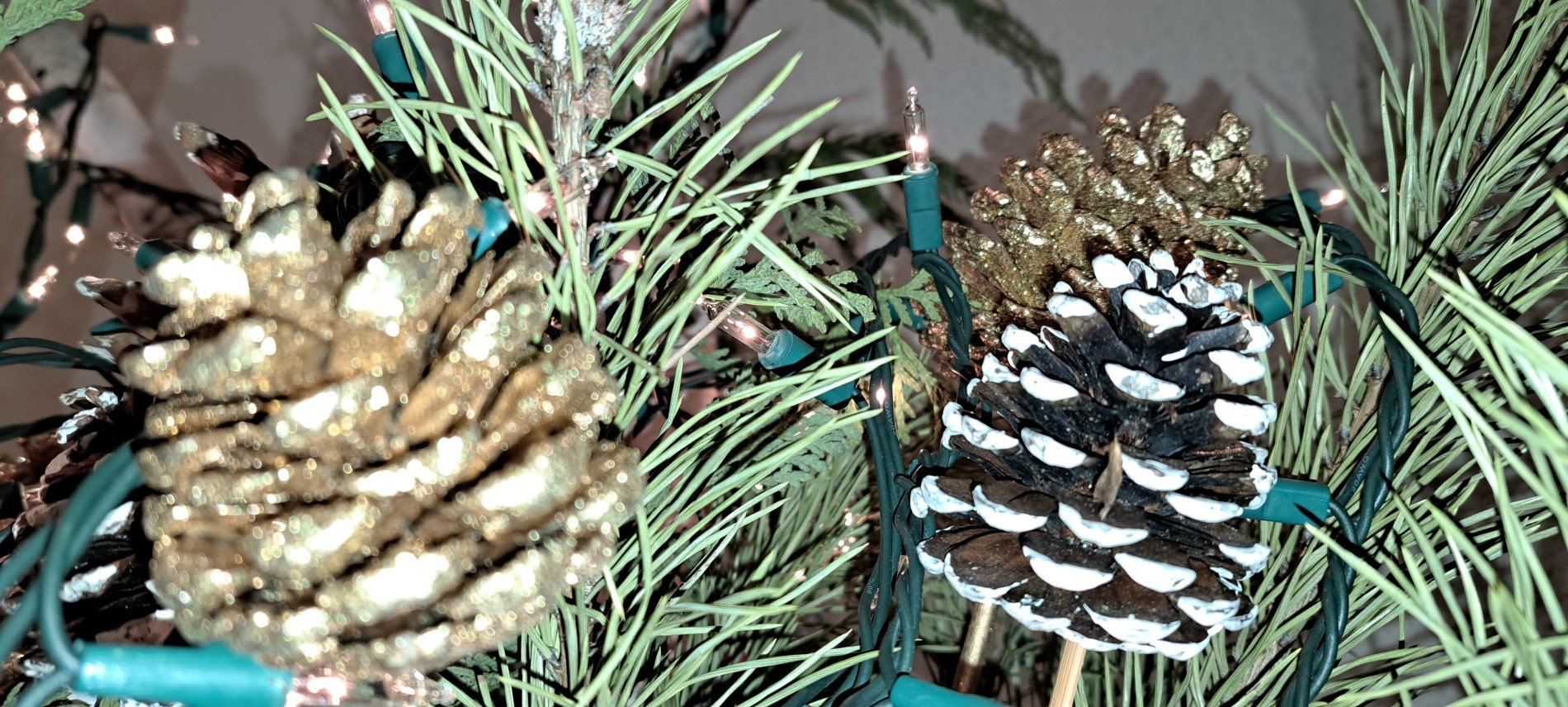 Picture of pine cones among christmas lights