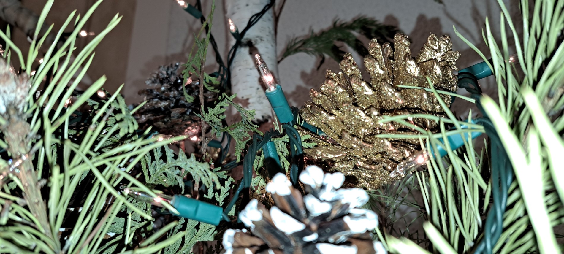 Picture of pine cones among christmas lights