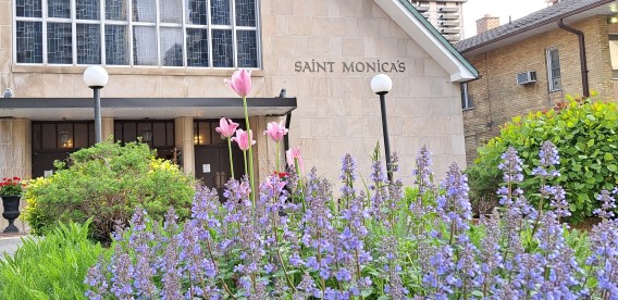 Picture of lavender plants against church front