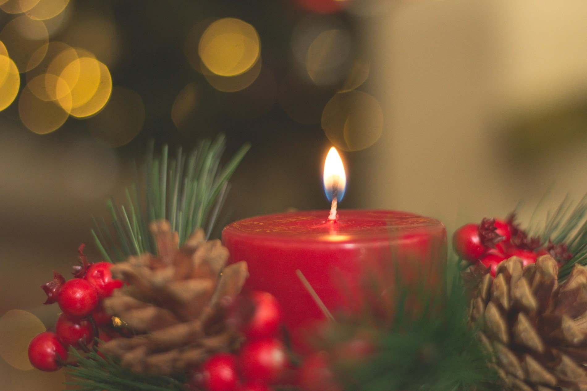 Closeup picture of red candle among green wreath leaves